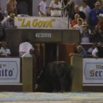 Palencia, viernes 30 de agosto de 2019