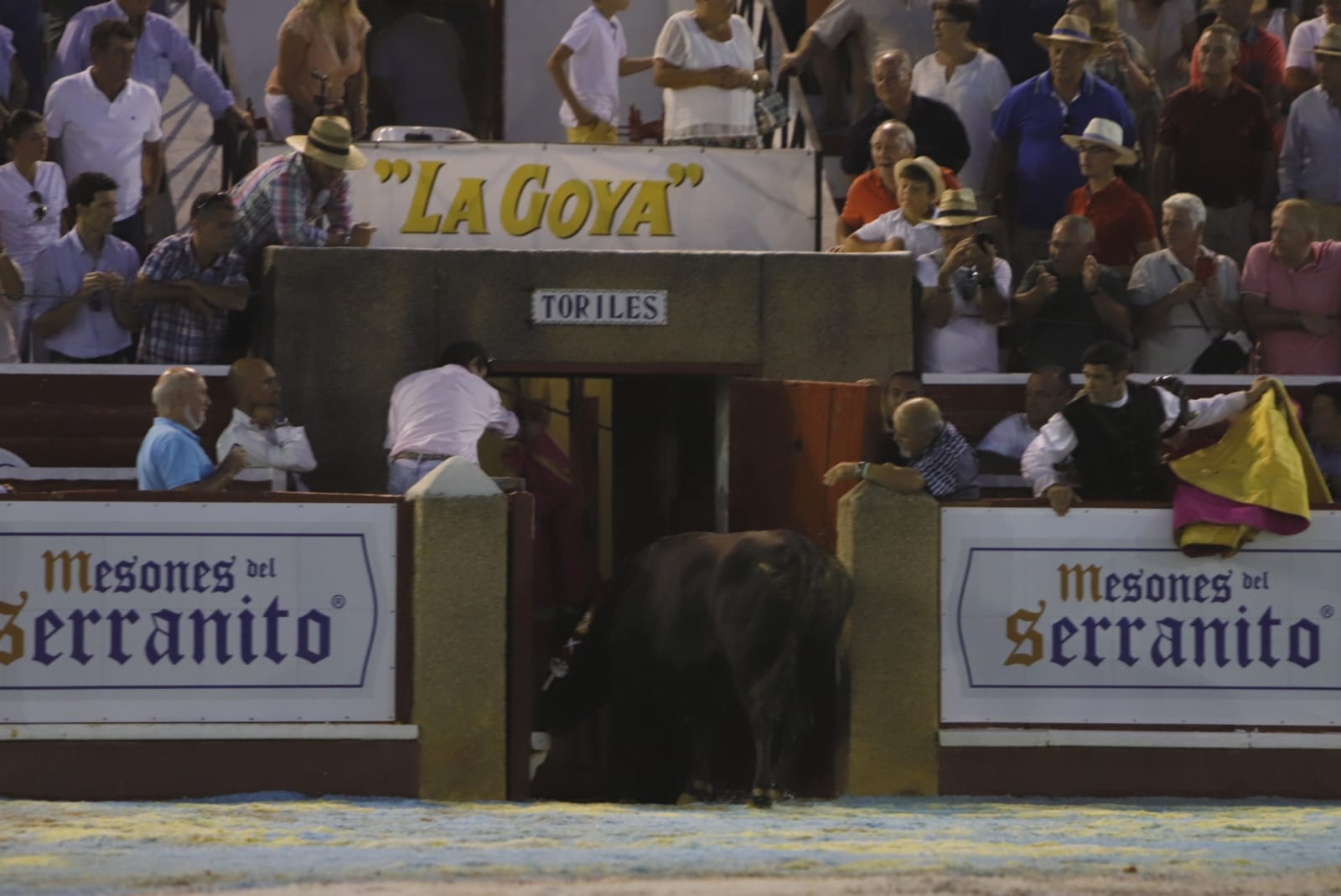 Palencia, viernes 30 de agosto de 2019