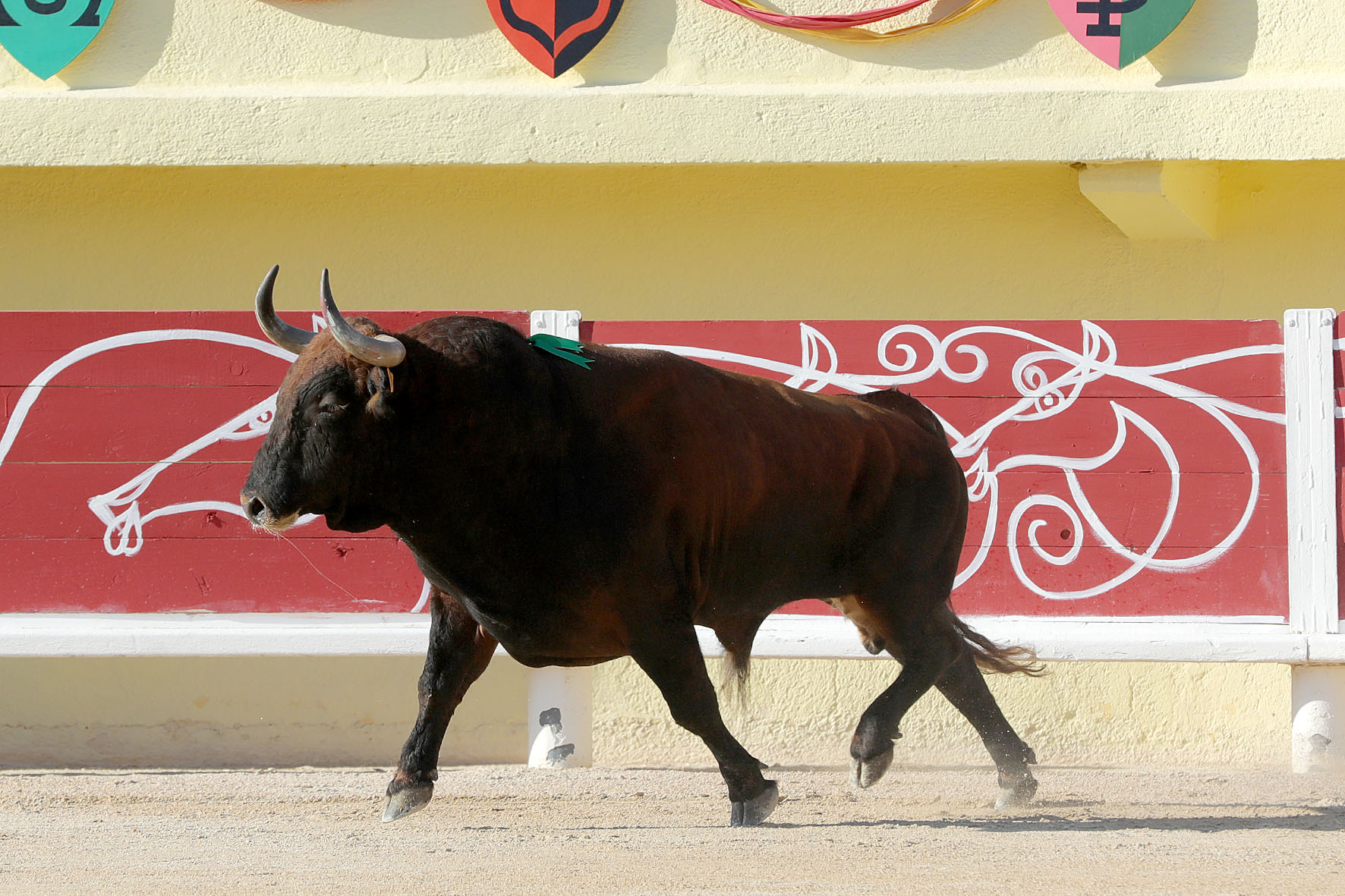 Saintes Maries de la Mer, sábado 10 de agosto de 2019