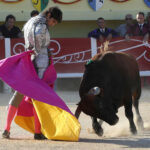 Saintes Maries de la Mer, sábado 10 de agosto de 2019
