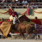 Saintes Maries de la Mer, sábado 10 de agosto de 2019