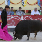 Saintes Maries de la Mer, sábado 10 de agosto de 2019