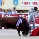 Saintes Maries de la Mer, sábado 10 de agosto de 2019