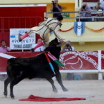 Saintes Maries de la Mer, sábado 10 de agosto de 2019