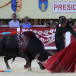 Saintes Maries de la Mer, sábado 10 de agosto de 2019