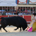 Saint-Gilles. Domingo, 25 de agosto de 2019.