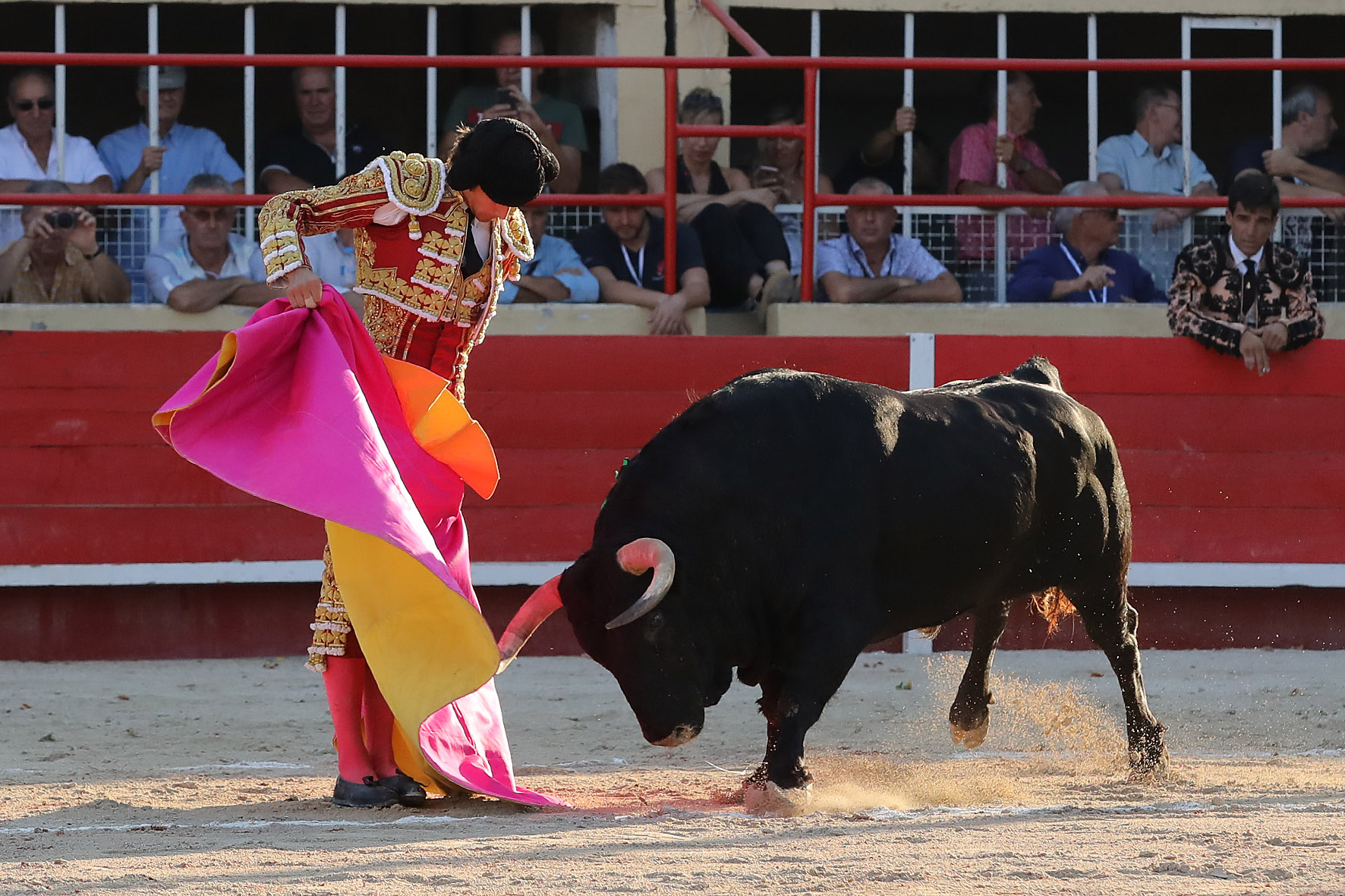 Saint-Gilles. Domingo, 25 de agosto de 2019.