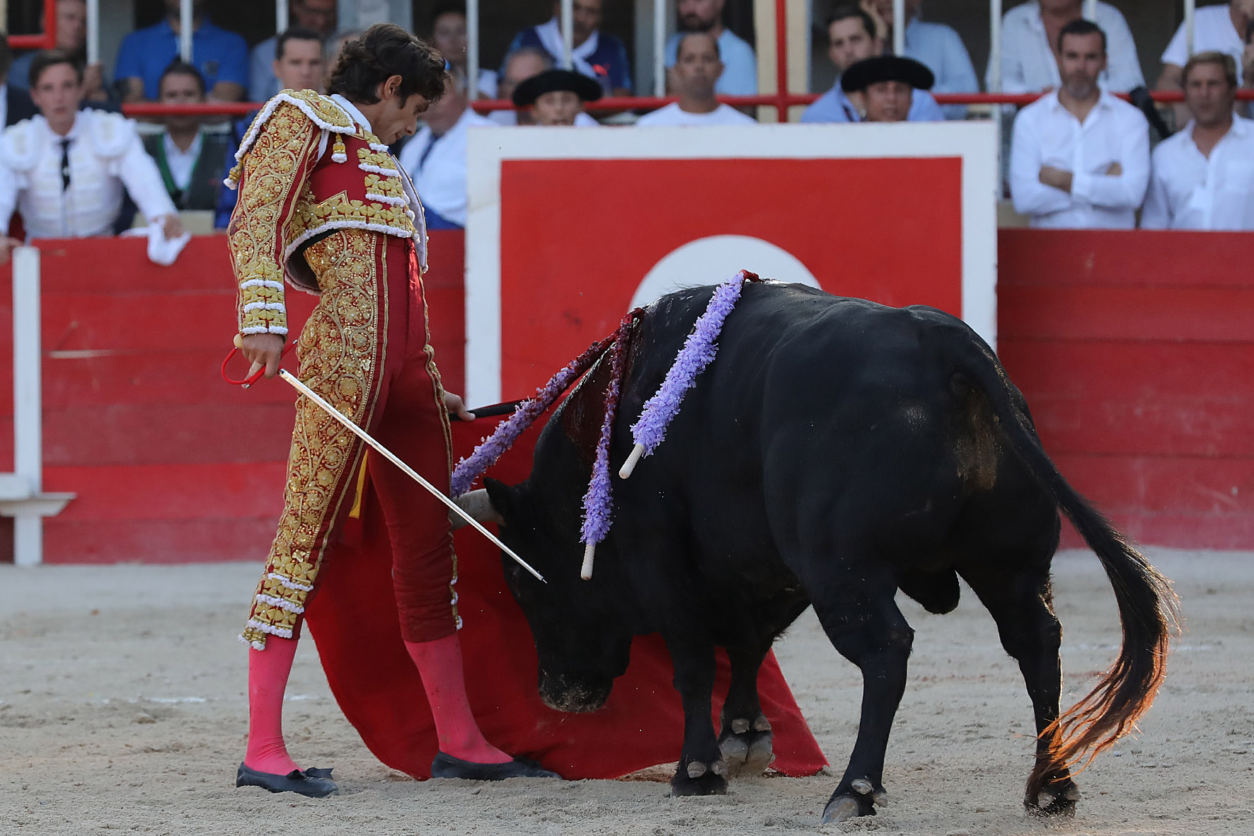 Saint-Gilles. Domingo, 25 de agosto de 2019.