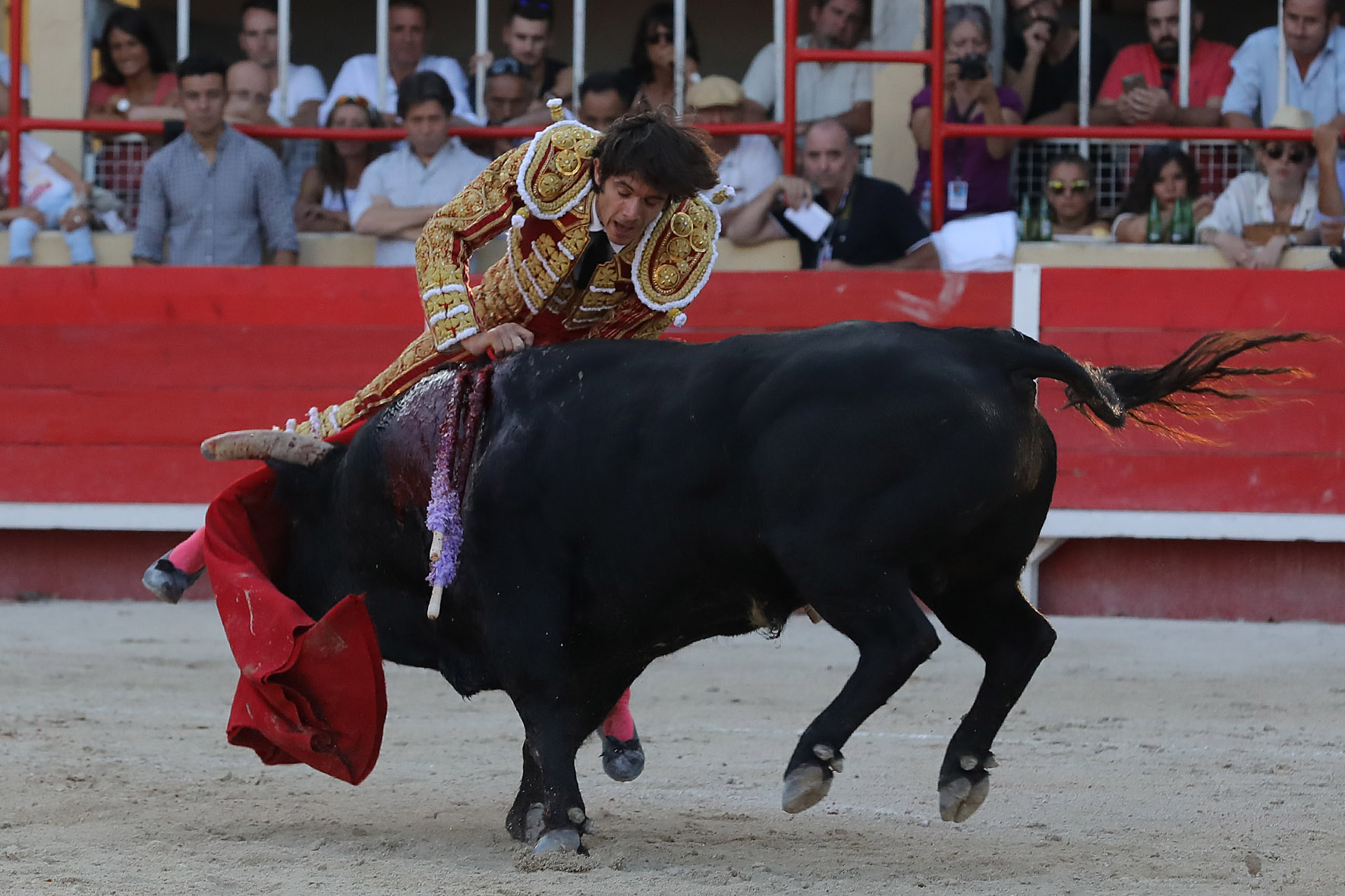 Saint-Gilles. Domingo, 25 de agosto de 2019.