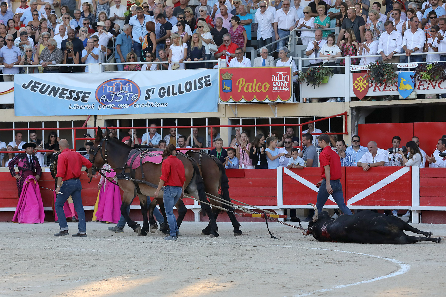 Toropasión continúa al frente de la plaza de Saint-Gilles