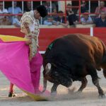 Saint-Gilles. Domingo, 25 de agosto de 2019.