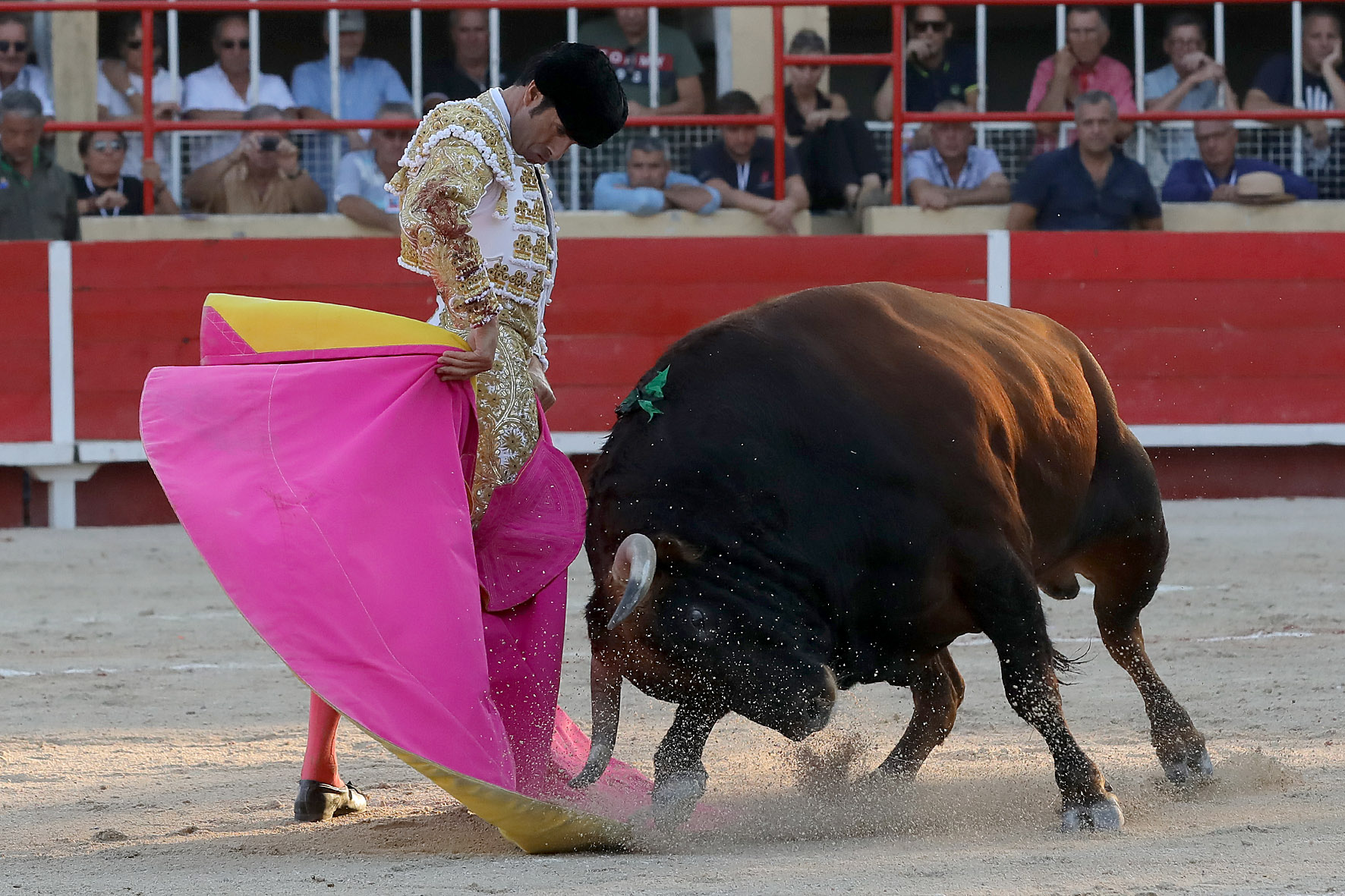 Saint-Gilles. Domingo, 25 de agosto de 2019.