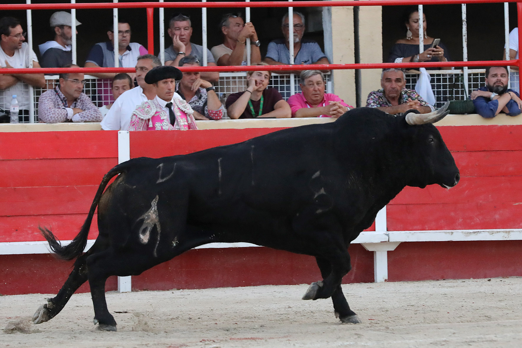 Saint-Gilles. Domingo, 25 de agosto de 2019.