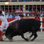 Saint-Gilles. Domingo, 25 de agosto de 2019.
