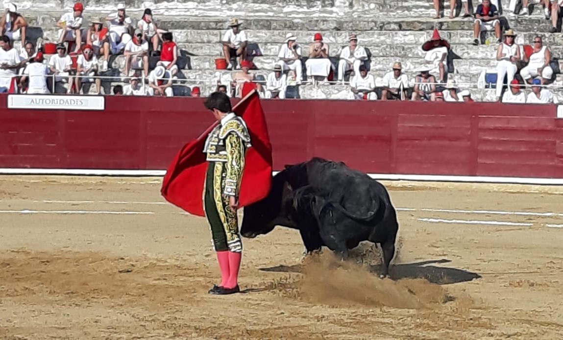 Estella, sábado 3 de agosto de 2019