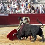 Estella, sábado 3 de agosto de 2019