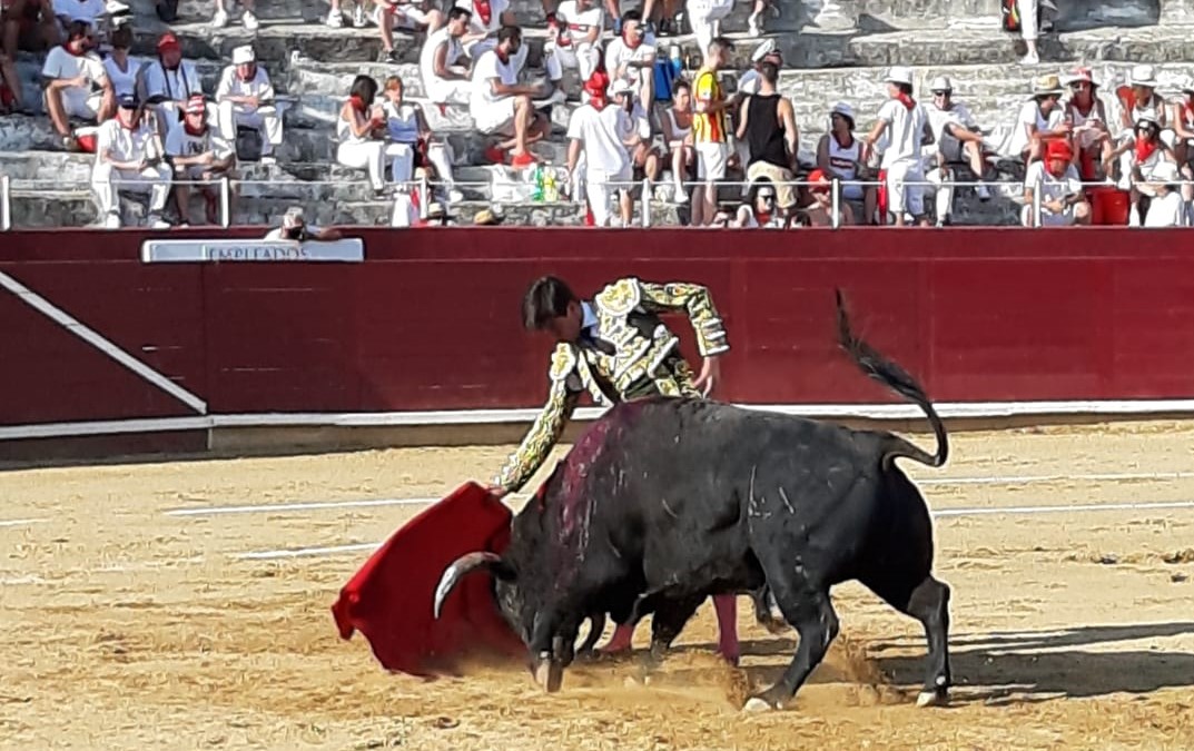 Estella, sábado 3 de agosto de 2019