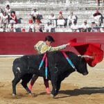 Estella, sábado 3 de agosto de 2019