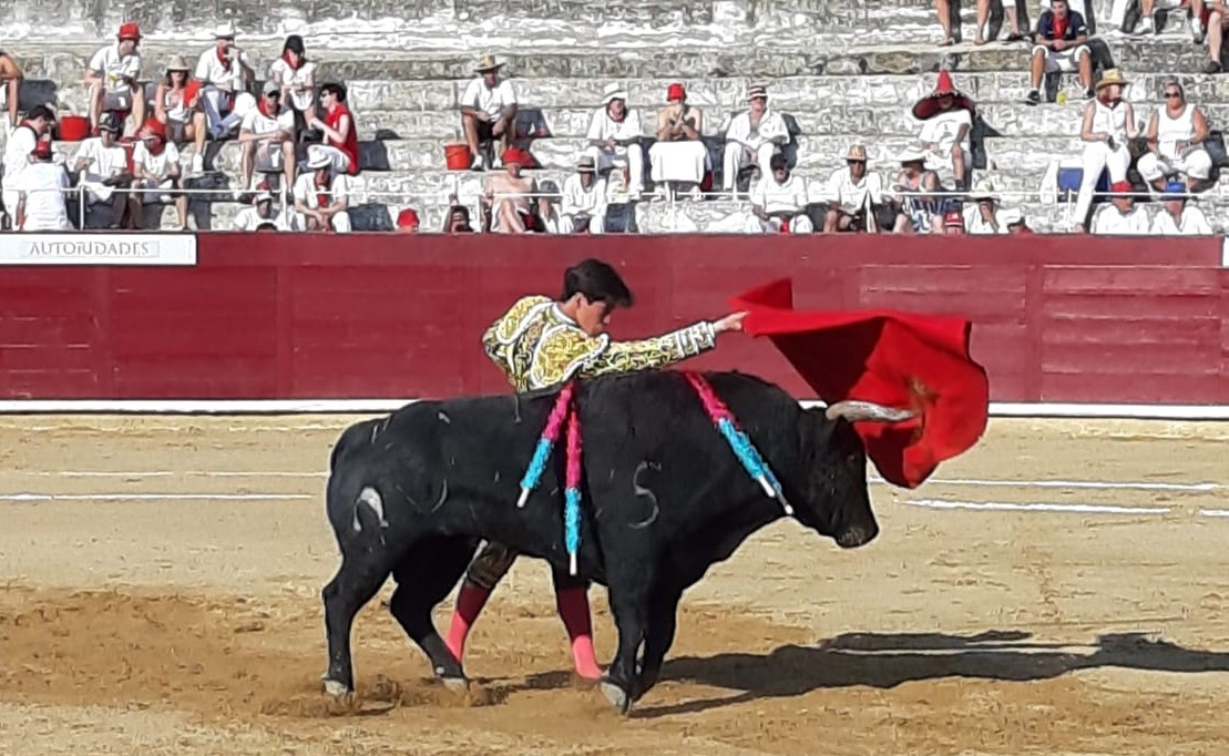 Estella, sábado 3 de agosto de 2019