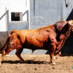 Sorteo. Madrid, jueves 15 de agosto de 2019