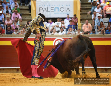 Palencia, viernes 30 de agosto de 2019