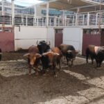 Sorteo. Málaga, domingo 18 de agosto de 2019