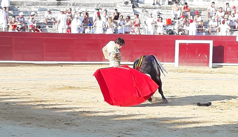 Estella, sábado 3 de agosto de 2019