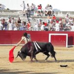Estella, sábado 3 de agosto de 2019