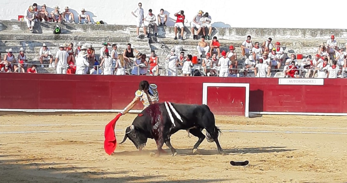 Estella, sábado 3 de agosto de 2019