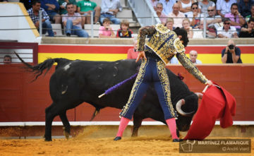 Palencia, viernes 30 de agosto de 2019
