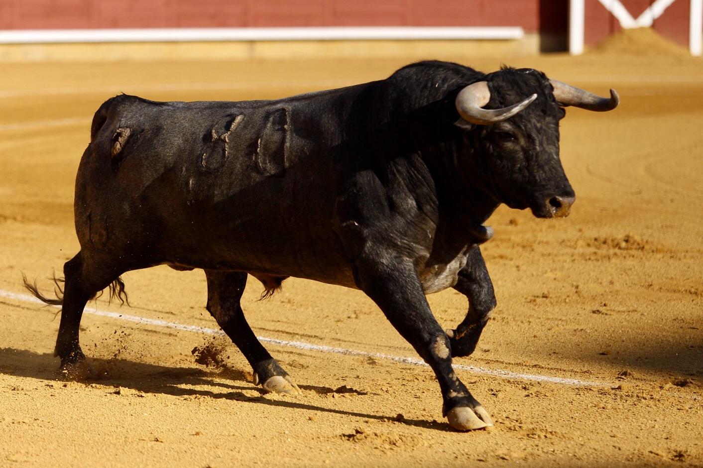 El Plan de Reconstrucción ya tiene ganaderías