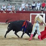 Estella, sábado 3 de agosto de 2019