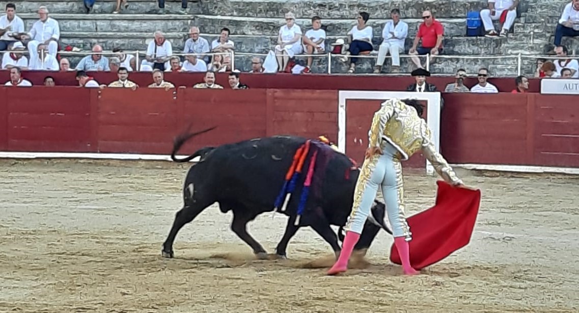 Estella, sábado 3 de agosto de 2019