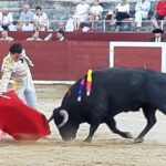 Estella, sábado 3 de agosto de 2019