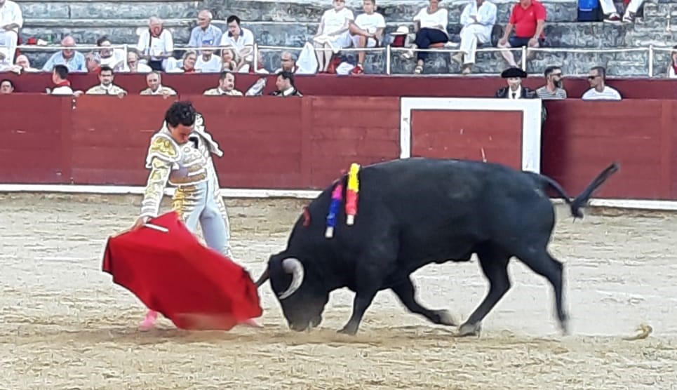 Estella, sábado 3 de agosto de 2019