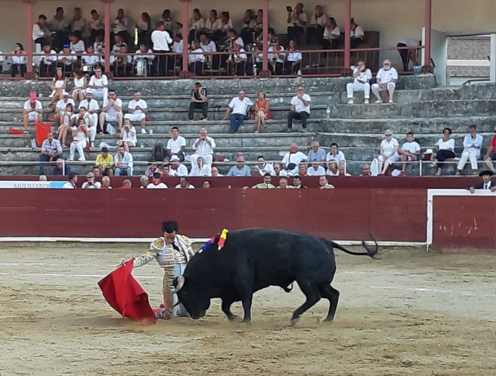 Estella, sábado 3 de agosto de 2019