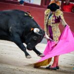 Madrid, domingo 11 de agosto de 2019