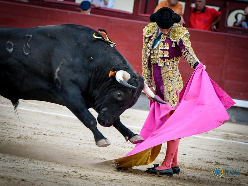 Madrid, domingo 11 de agosto de 2019