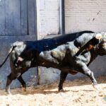 Sorteo. Madrid, jueves 15 de agosto de 2019