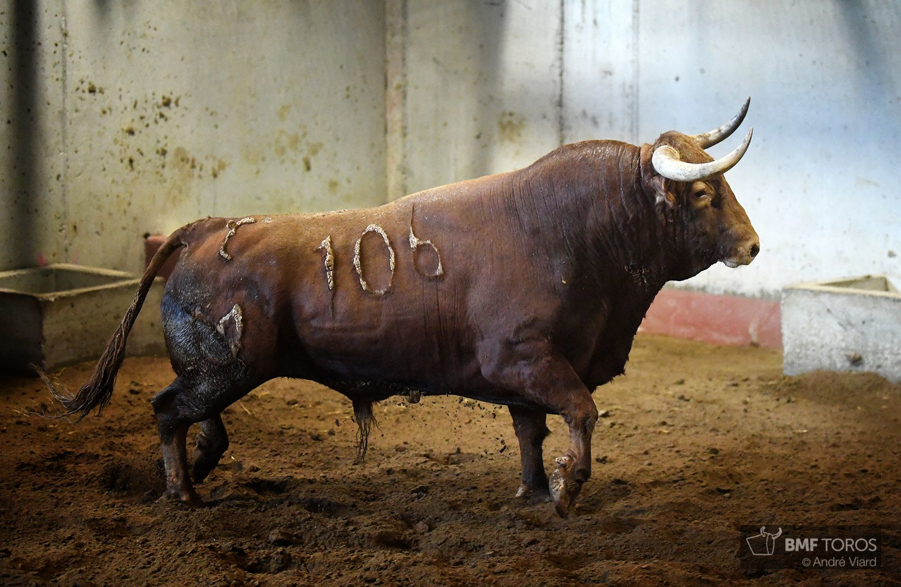 Sorteo. San Sebastián, miércoles 14 de agosto de 2019