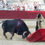 Estella, sábado 3 de agosto de 2019