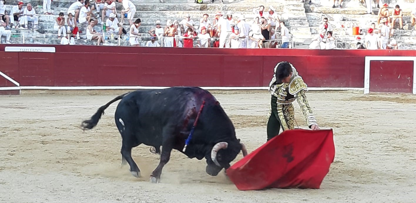 Estella, sábado 3 de agosto de 2019