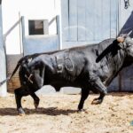 Sorteo. Madrid, domingo 11 de agosto de 2019