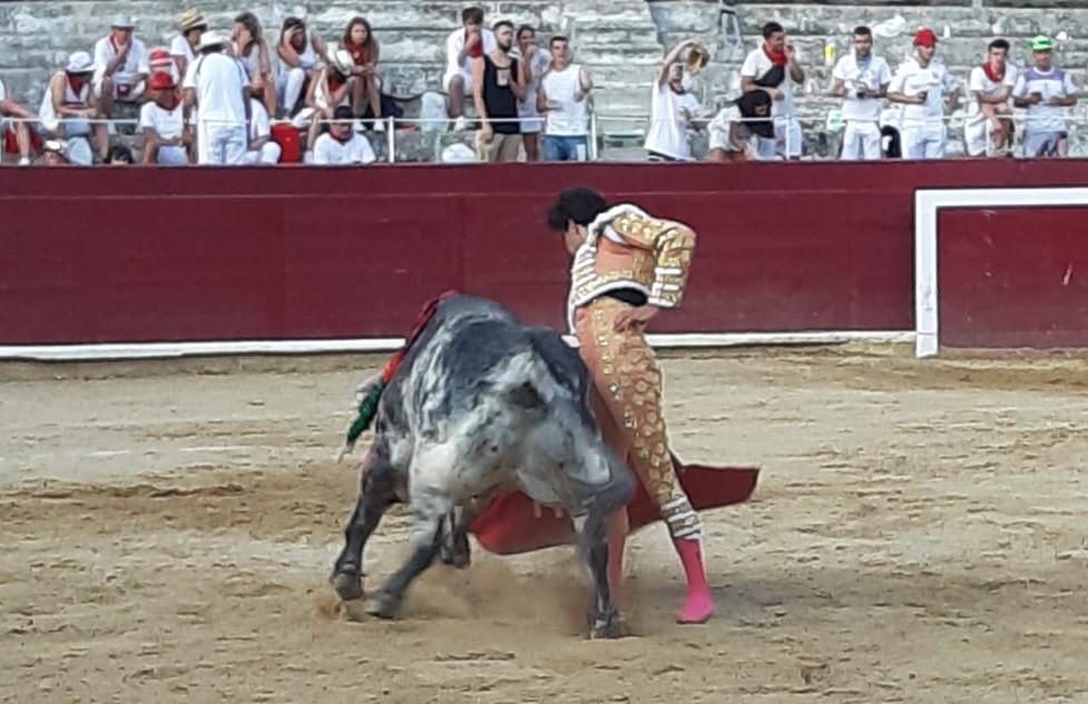 Estella, sábado 3 de agosto de 2019