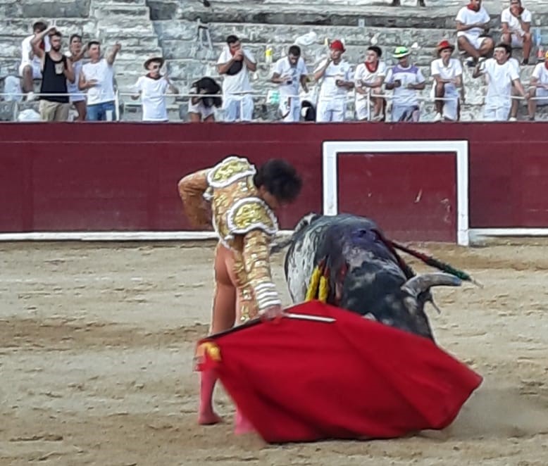 Estella, sábado 3 de agosto de 2019