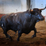 Sorteo. San Sebastián, miércoles 14 de agosto de 2019