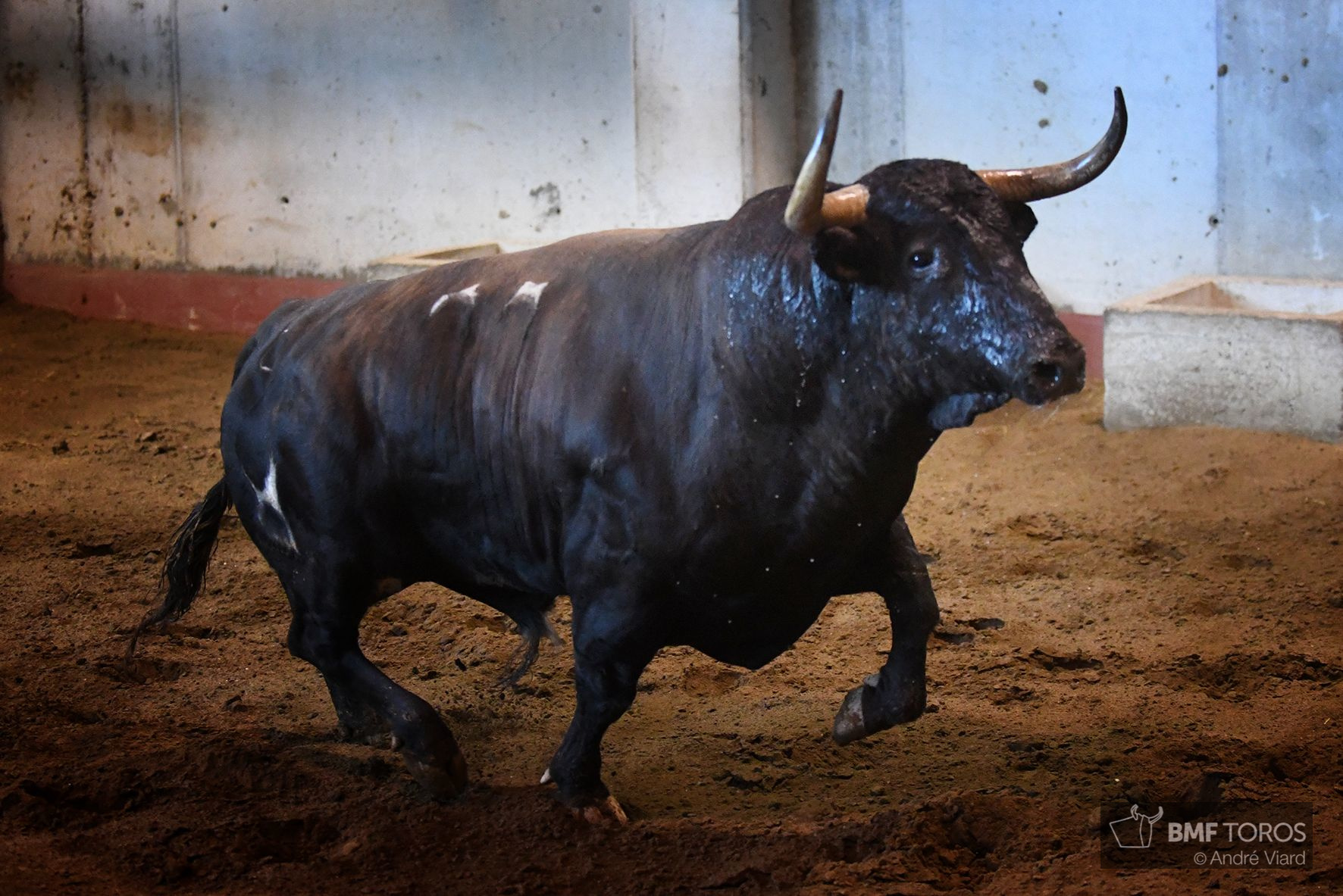 Sorteo. San Sebastián, miércoles 14 de agosto de 2019