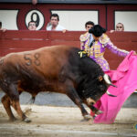 Madrid, domingo 11 de agosto de 2019