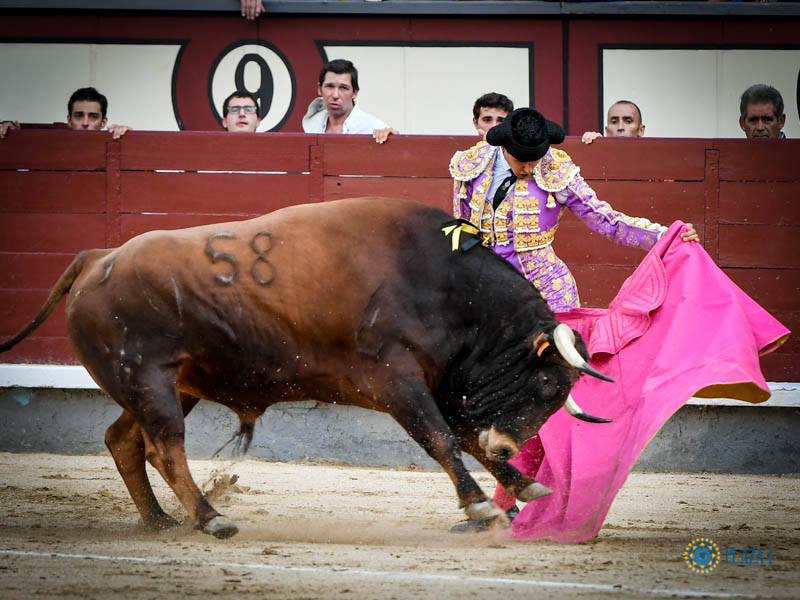 Madrid, domingo 11 de agosto de 2019
