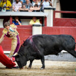 Madrid, domingo 11 de agosto de 2019